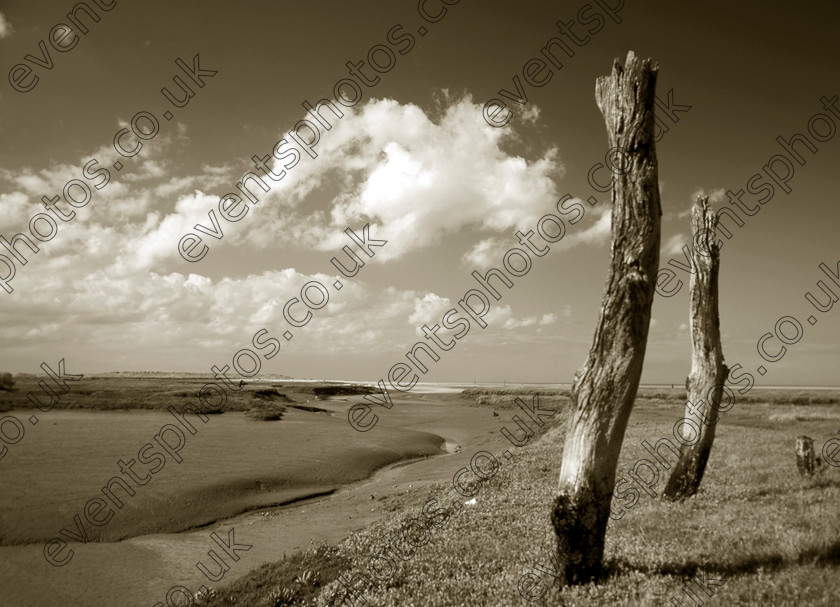 Thornham Marsh Posts 1